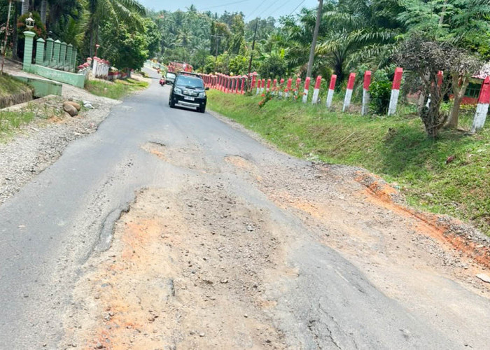 Rp 2 Miliar Diusulkan ke Bapperida untuk Jalan D1-D7, Zaitul: Belum Diakomodir