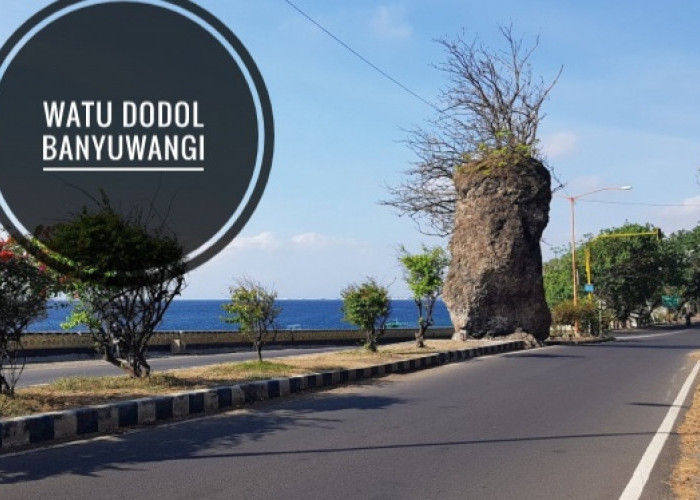 Watu Dodol, Batu Gaib Ditengah Jalan Lintas Banyuwangi-Situbondo yang Tak Bisa Dibongkar oleh Siapapun