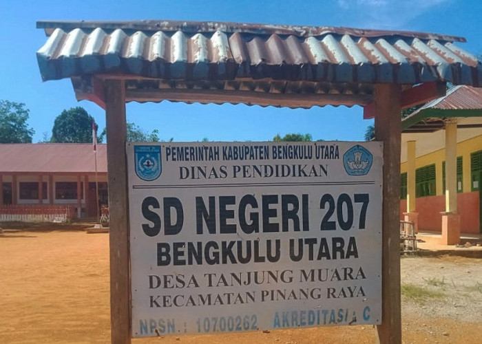 3 Tahun Diusulkan, SDN 207 BU Menanti Rehab Ruang Kelas dan Gedung Baru