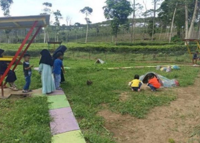 Liburan Low Budget Bikin Anak Senang, Taman Kelinci di Kepahiang Cuma Bayar Rp5.000 Saja