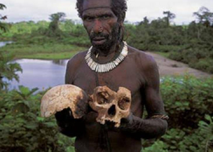 Suku Korowai, Suku Dikabarkan Suka Makan Daging Manusia