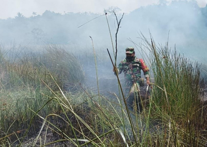 Kebakaran Lahan di Pulau Enggano, Ini Penjelasan Dandim 0423 Bengkulu Utara 