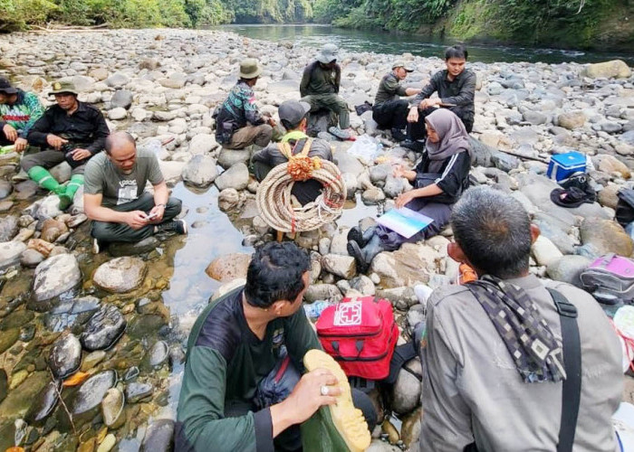 Pantau Pegerakan Gajah Sumatera, BKSDA Bengkulu-Lampung Pasang GPS Collar