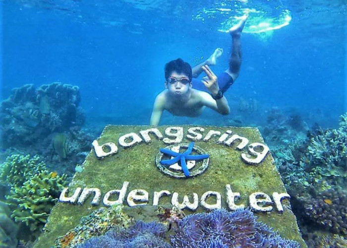 5 Spot Terbaik Kelas Dunia di Banyuwangi ini Cocok untuk Snorkeling
