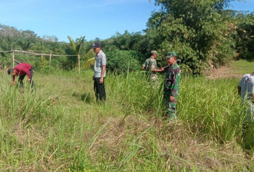 Koramil Ajak Desa Garap Lahan Tidur 