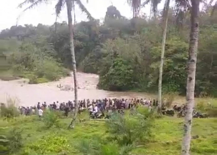 Heboh! Warga Lubuk Jale Hilang Terbawa Arus Sungai, Kini dalam Proses Pencarian Warga