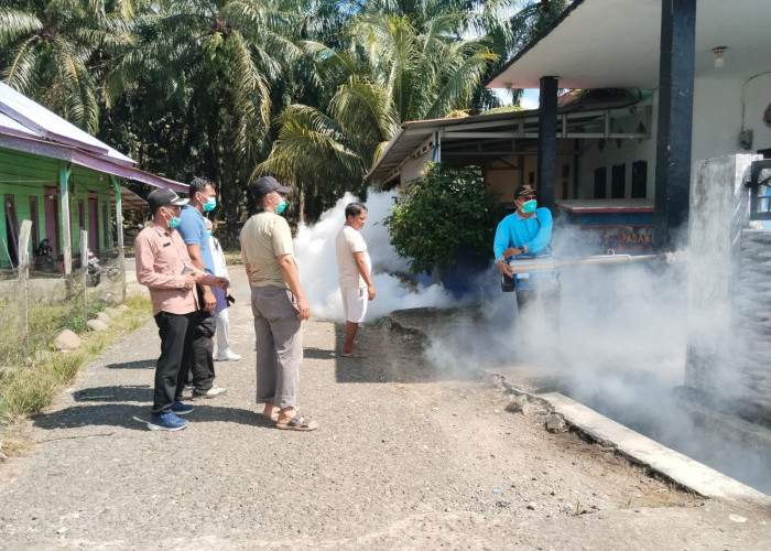 PSN dan Fogging Digelar Serentak, XIV Koto Perketat Pencegahan DBD