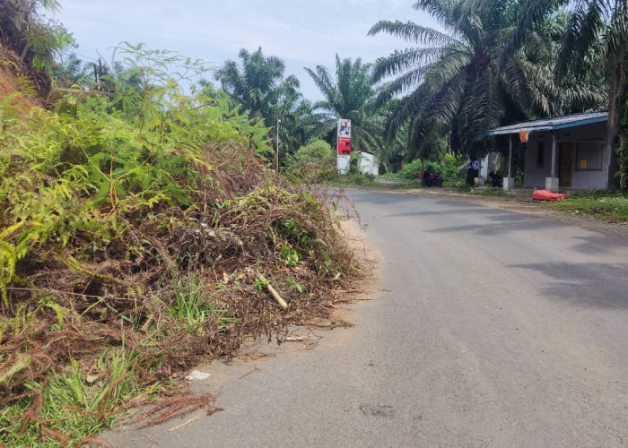 Jika ke Bengkulu Utara, Presiden Bakal Melihat Pemandangan yang Seperti Ini