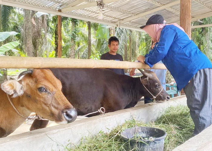 Warga Diimbau Libatkan Petugas Kesehatan Sebelum Membeli Hewan Kurban