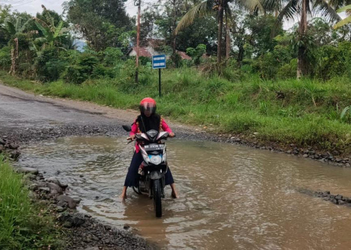Semakin Parah, Jalan Provinsi di Bengkulu Ini Seperti Sungai