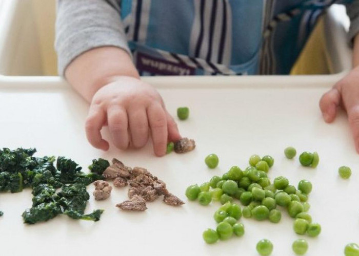 Jangan Langsung Kasih Obat, Ini Makanan Pelancar BAB yang Pasti Disukai si Kecil