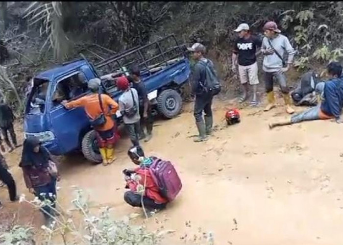BREAKING NEWS! Kecelakaan Maut Terjadi di Kebun PT Sandabi Sebayur, 4 Pekerja Luka-luka 1 Tewas