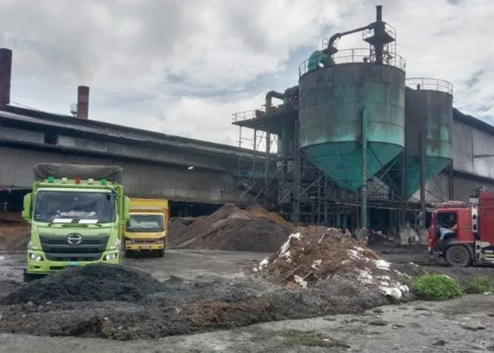 Pasokan Buah Seret, Pabrik Sawit di Mukomuko Pangkas Tenaga Kerja