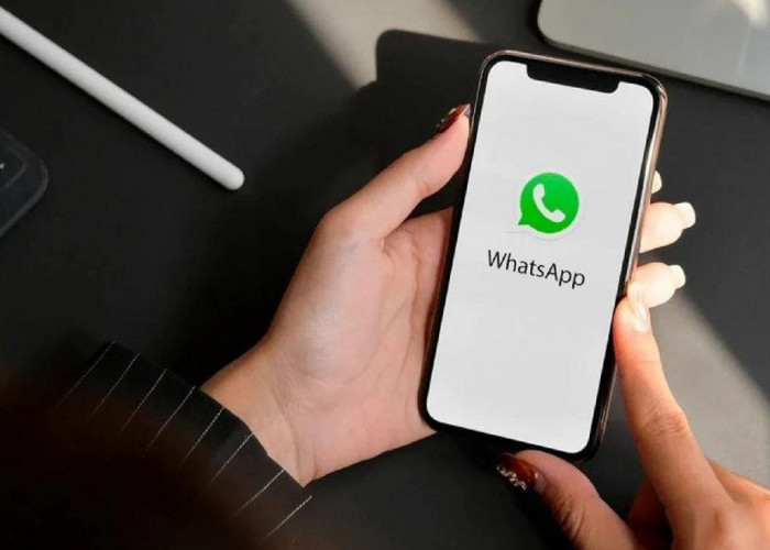 Hati-Hati, Jika Menggunakan Aplikasi Ini WhatsApp Akan Menghapus Akun Anda 