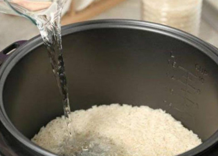 Jangan Senang Dulu, Anggaran untuk Bantuan Rice Cooker Masih Dibahas, Ada Kemungkinan Tak Jadi loh