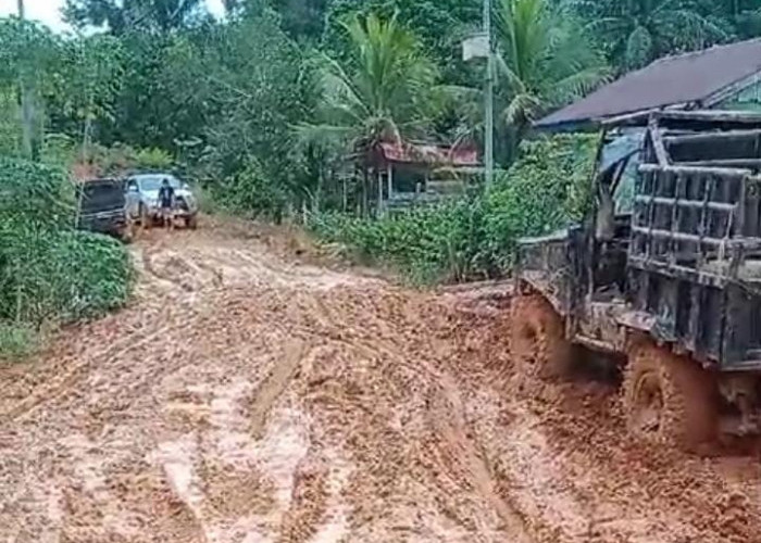 Penghujan, Jalan Tanah Merah di Trans Lapindo Babak Belur, Masyarakat Kesulitan Keluarkan Hasil Perkebunan