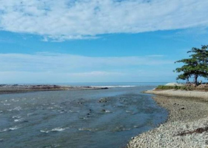 Indahnya Pantai Muara Kedurang, Perpaduan antara Air Asin dan Air Tawar