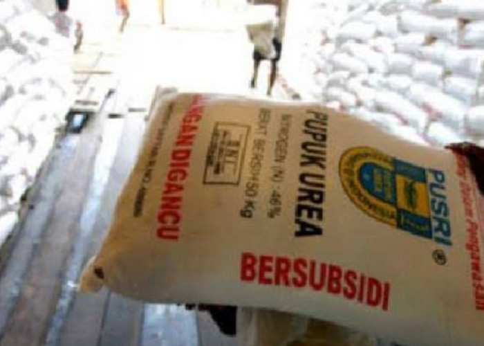 Kabar Gembira Buat Petani, Tebus Pupuk Subsidi Bisa Gunakan KTP