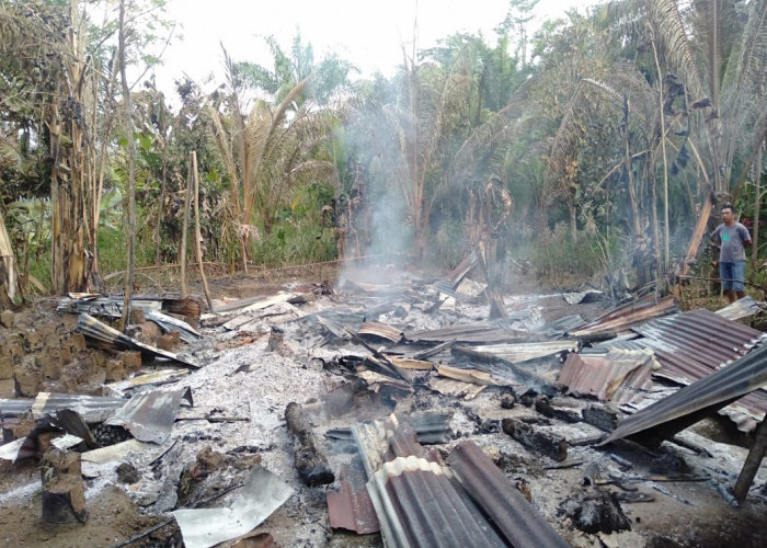Mobil Damkar Kesulitan ke Lokasi, Rumah Warga Arga Makmur Ludes Terbakar