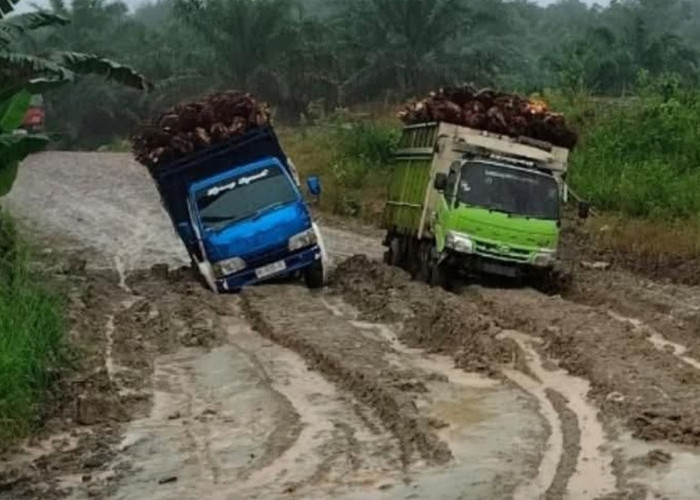 Kontribusi Tambang dan Sawit Sangat Besar, Infrastruktur Dapil IV Bengkulu Utara Masih Tertinggal?