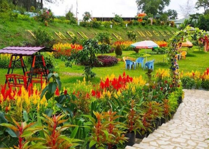 Taman Bunga dan Buah Anugerah Jadi Icon Wisata Bagi Keluarga di Kota Bengkulu