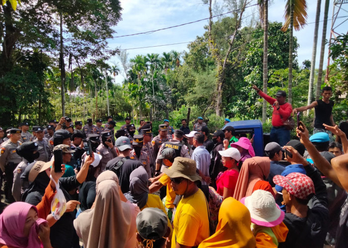 348,23 Hektar Sudah Dilepaskan, Bukhori: Agricinal tak Memiliki Kewenangan untuk Kelola DAS
