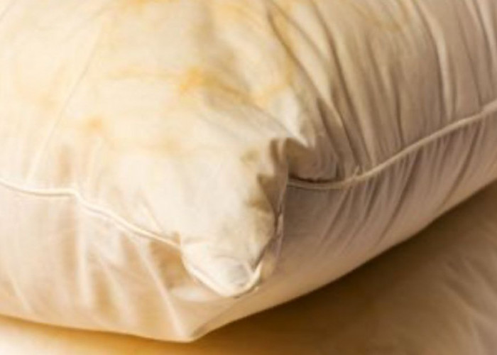 Cara Menghilangkan Jamur dari Bantal Secara Aman dan Efektif