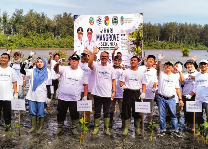 Selamatkan Pesisir, Mukomuko Tanam 1.000 Mangrove di Hari Mangrove Sedunia