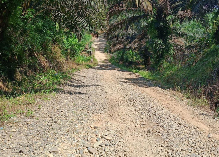 1,5 Km Jalan Poros di Desa Bangun Karya Babak Belur, Kades: Harapan Kami Bisa di Hotmix