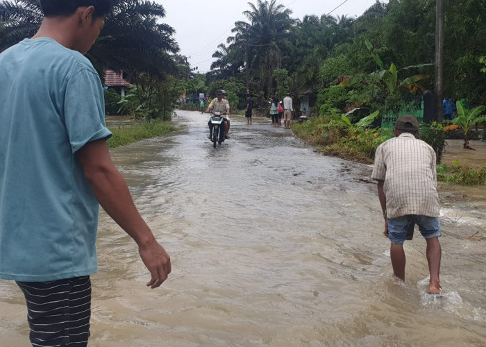 9 Rumah di Desa Karya Pelita Terendam Banjir