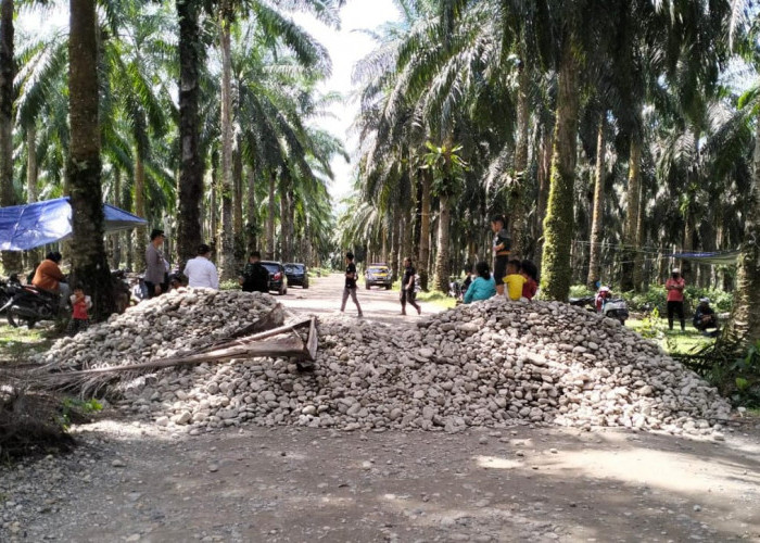 Masyarakat Portal Akses Jalan Utama PT Agricinal, Ini Alasannya