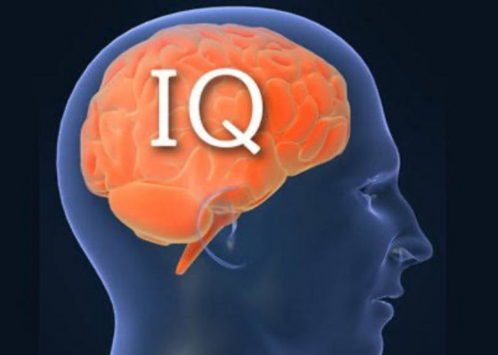 Genius, Ini 10 Negara yang Miliki IQ Tertinggi di Dunia
