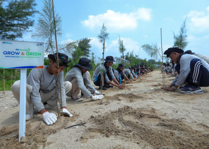 Peringati HLH Sedunia, BRI Komitmen dalam Menjaga Ekosistem Lingkungan melalui BRI Menanam–Grow & Green