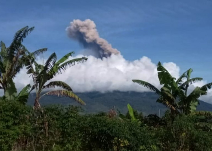 Erupsi Gunung Kerinci Dipastikan tak Ganggu Aktifitas Warga
