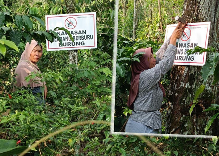 Di Balik Kebun Kopi Tangguh Iklim, Tangan Perempuan Petani Jadi Perisai Burung
