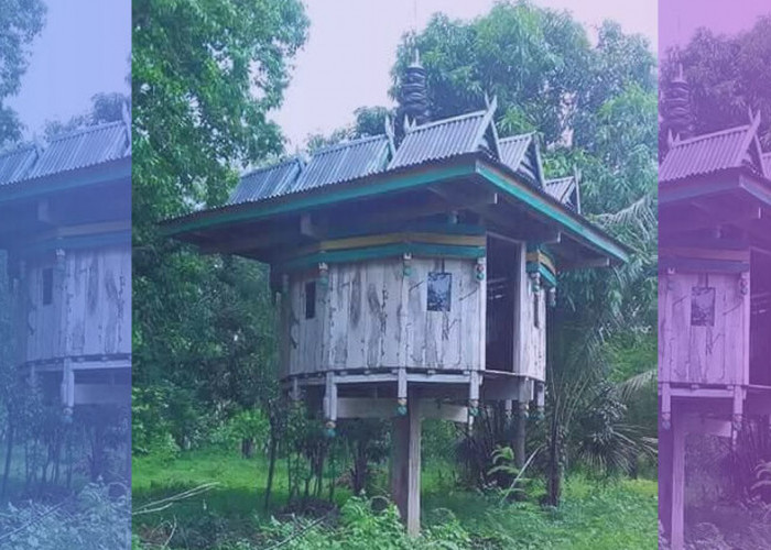 Misteri Rumah Bertiang Satu di Sulawesi, Lebar 6x6 Meter dan Berisi 12 Kamar