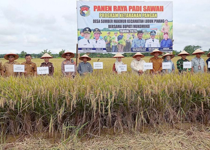 Panen Raya di Sumber Makmur, Pemkab Mukomuko Dorong Target Surplus Pangan