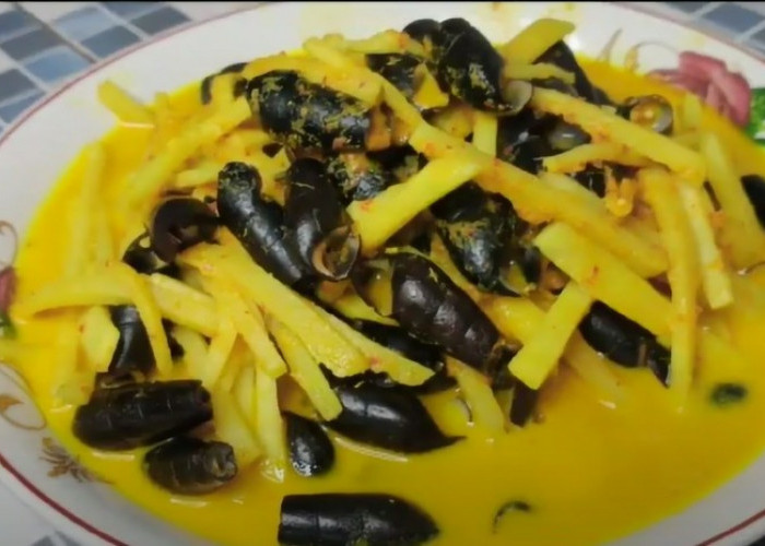 Banyak yang Belum Tahu Siput Air atau Lebih Dikenal Liling oleh Warga Bengkulu, Ternyata Sangat Kaya Manfaat