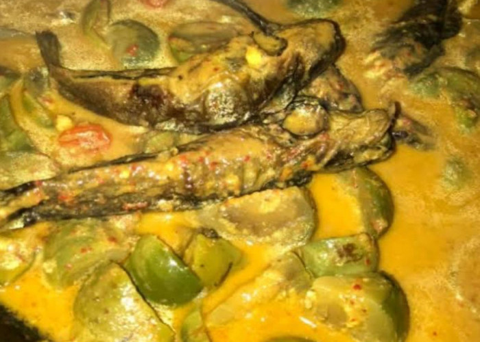 Mencicipi Gulai Tapau Ikan Palau, Kuliner Khas Bengkulu yang Wajib Dicoba