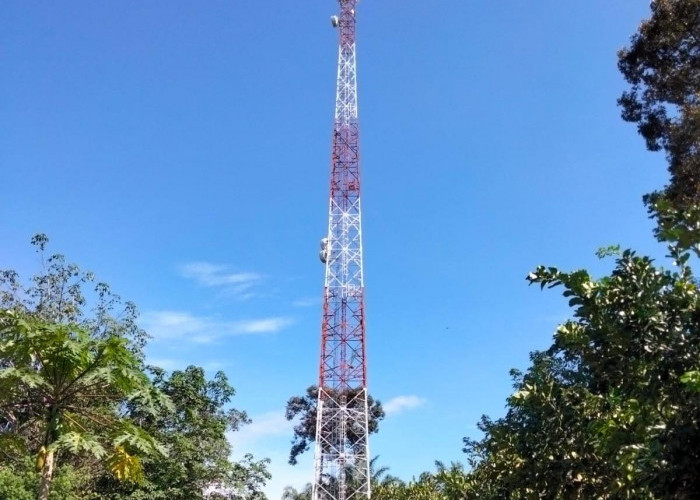Petir Sambar Tower BTS di Suka Maju, 3 Warga Laporkan Barang Elektronik Rumah Rusak dan Tuntut Ganti Rugi