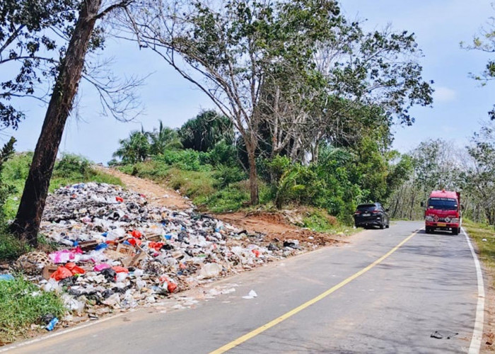 TPA Semrawut, Bau Menyengat, DLH Diminta Tak Tutup Mata