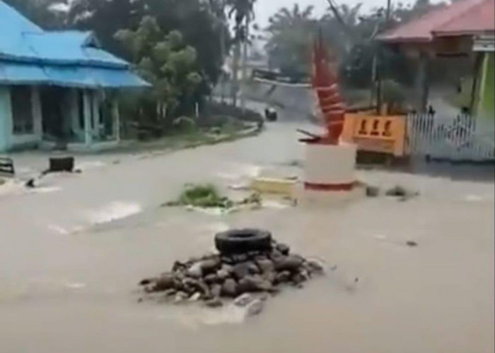 Puluhan Rumah Warga Desa Medan Jaya Terendam Banjir