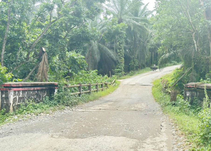 Kebut Perluasan Lahan, Jembatan Air Mumbang Harus Terlaksana 