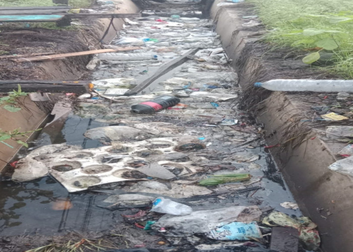 Parit Pasar Lubuk Sanai III Jadi Sarang Sampah, Warga Dihantui Ancaman DBD