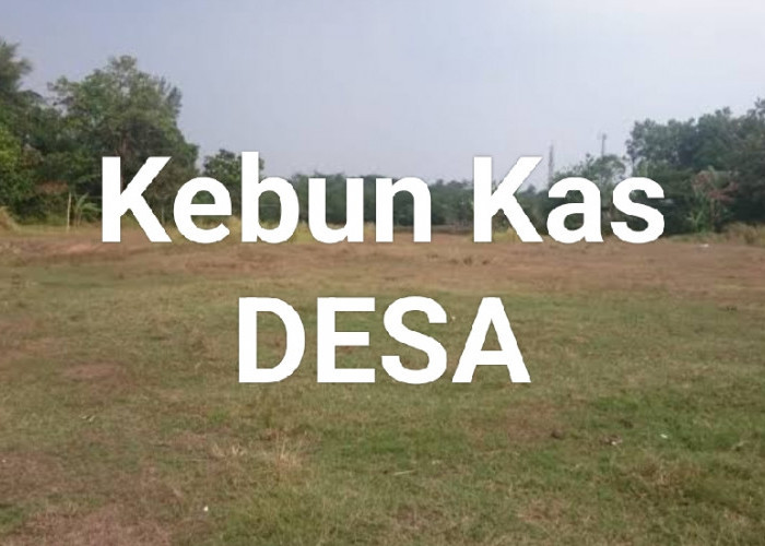 Pemdes Pagardin Tuntut PT Air Muring Bangun Kebun Masyarakat, Kades: Sejak Berdiri Tak Ada Kontribusi ke Desa