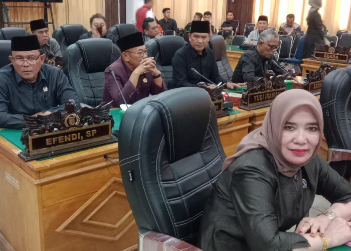 Ikuti Paripurna, Hj Armiyani Optimis Aspirasi Masyarakat Masih Bisa Diperjuangkan
