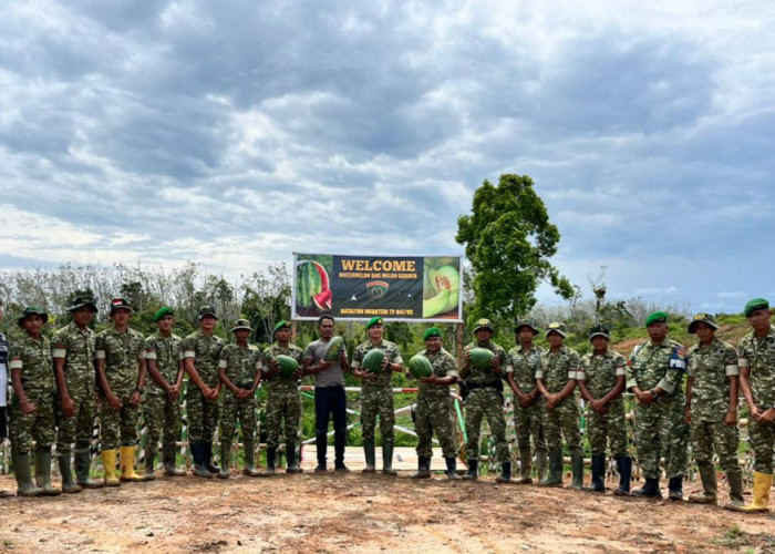 Lahan Militer 'Disulap' Ketahanan Pangan, Yonif TP 847/VS Sukses Panen 5 Ton Semangka