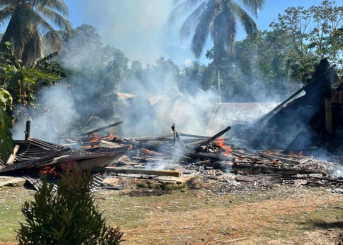 Ditinggal ke Kebun, Rumah Warga Desa Pagardin Habis Dilalap Api