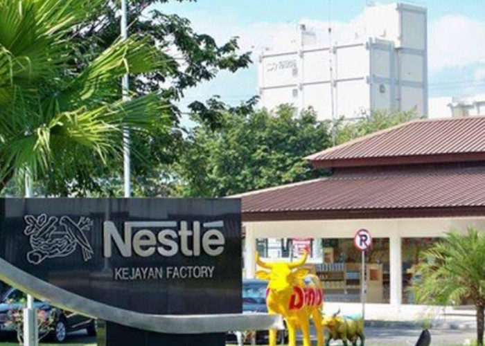 Beri Pesangon Gede, Pabrik Nestle di Pasuruan PHK Karyawan, Ini Alasannya
