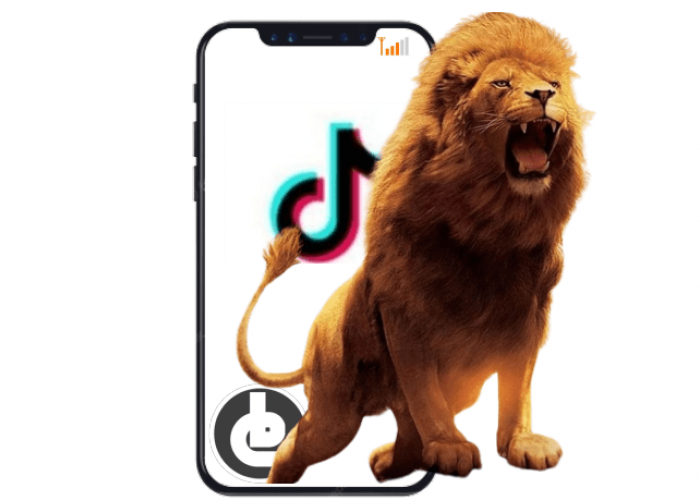 Pundi Rupiah dari Gift Singa di Tiktok, Berapa Penghasilannya?